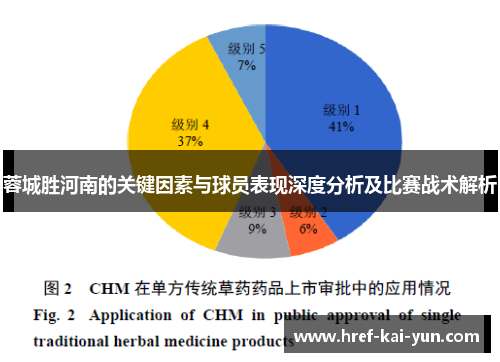 蓉城胜河南的关键因素与球员表现深度分析及比赛战术解析 蓉城胜河南的关键因素与球员表现深度分析及比赛战术解析