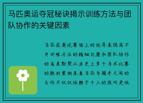 马匹奥运夺冠秘诀揭示训练方法与团队协作的关键因素