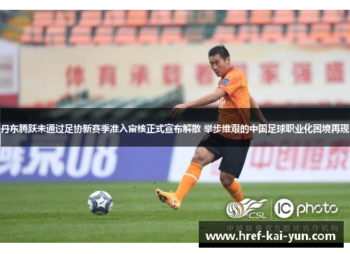 丹东腾跃未通过足协新赛季准入审核正式宣布解散 举步维艰的中国足球职业化困境再现 丹东腾跃未通过足协新赛季准入审核正式宣布解散 举步维艰的中国足球职业化困境再现